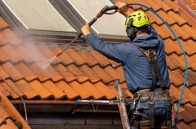 Démoussage et hydrofuge de toiture à Anthé